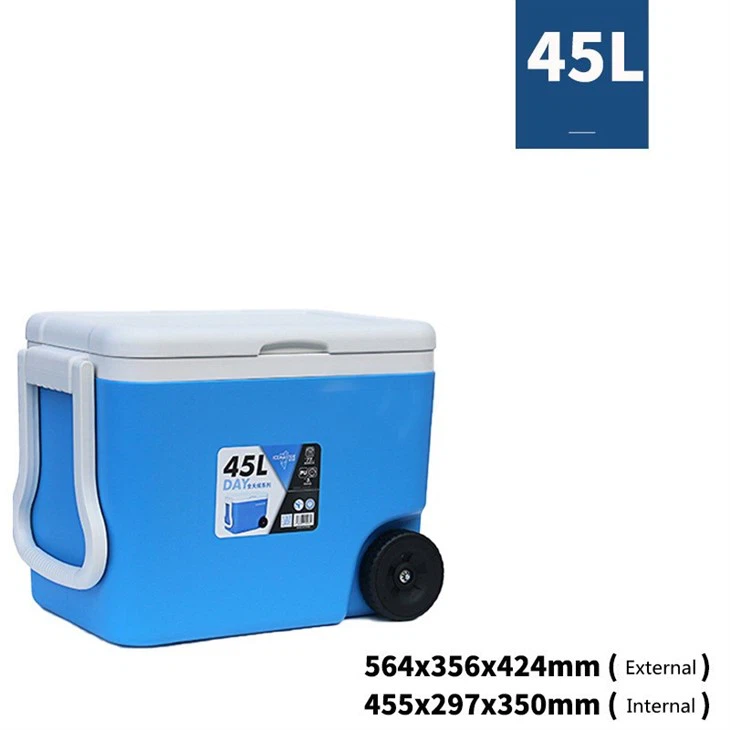 26L Vaccine Plastic Cooler Box
